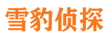 民勤私家侦探公司